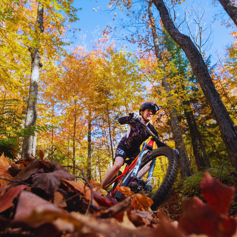 Mountain biking in autumn at Parc régional Montagne du Diable