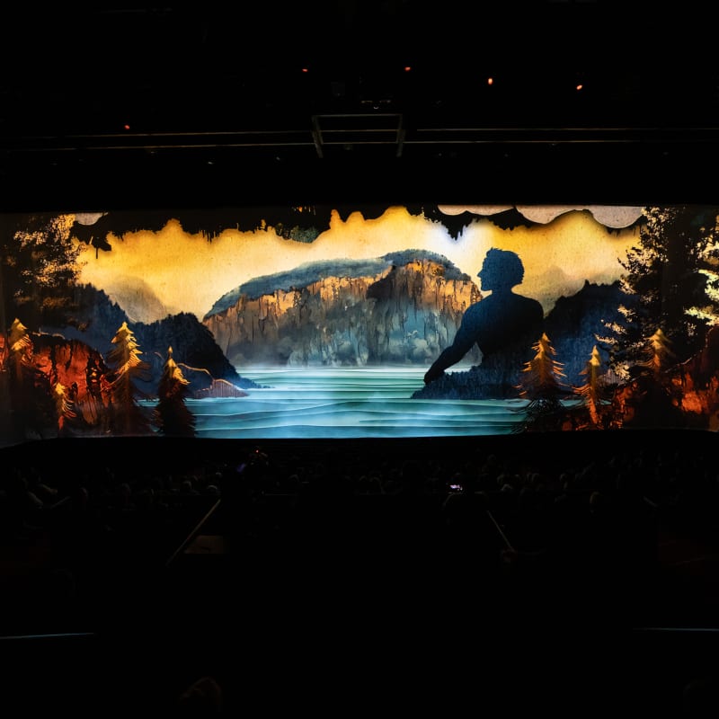 Visuel du spectacle FJORD
