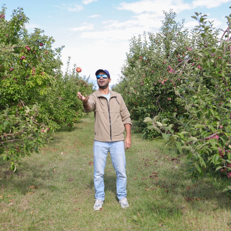 Homme dans un champ de pommes.