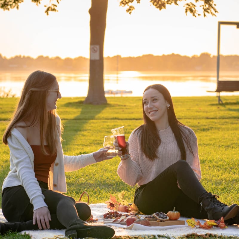 Two young women clink their glasses and share a picnic by the river,