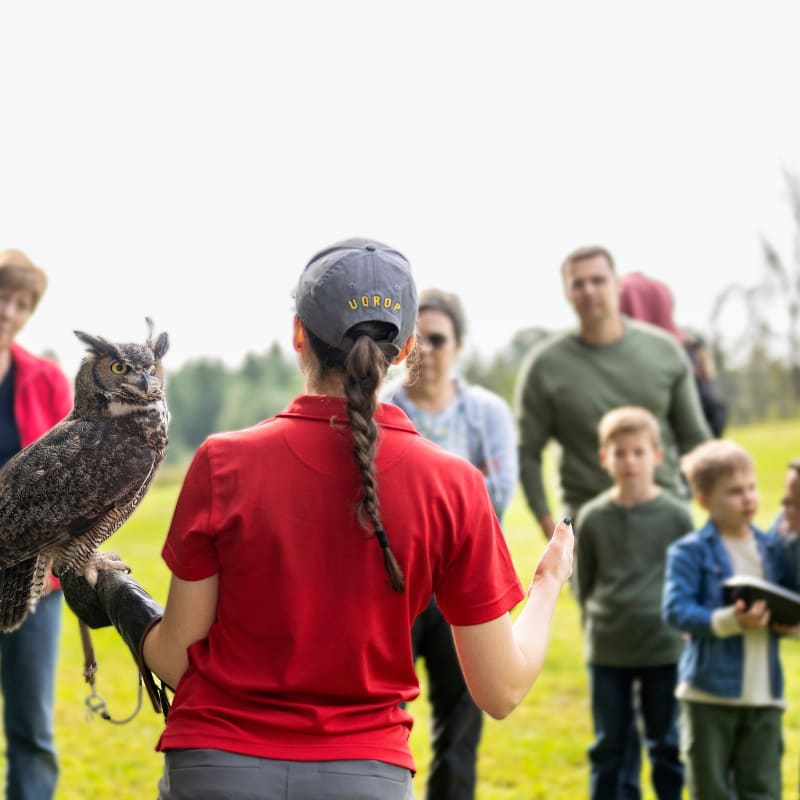Guide qui fait une démonstration avec une chouette devant quelques personnes.