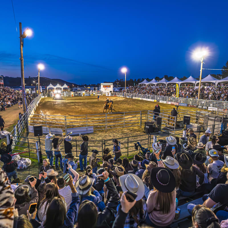 Professional rodeo.