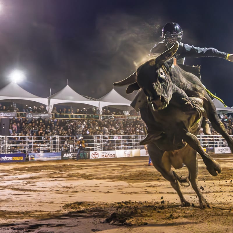 Professional rodeo.