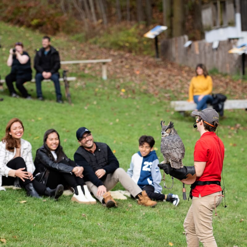 Groupe de personnes en train d'observer une animatrice chez Chouette à voir!