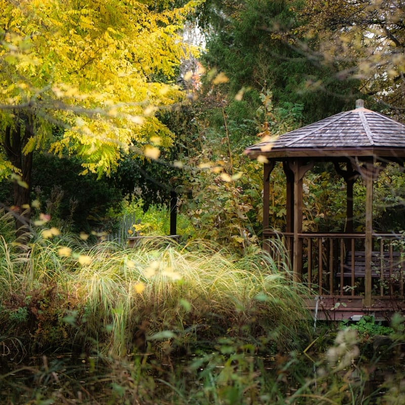 Pavillon dans la nature au Jardin Daniel A Séguin
