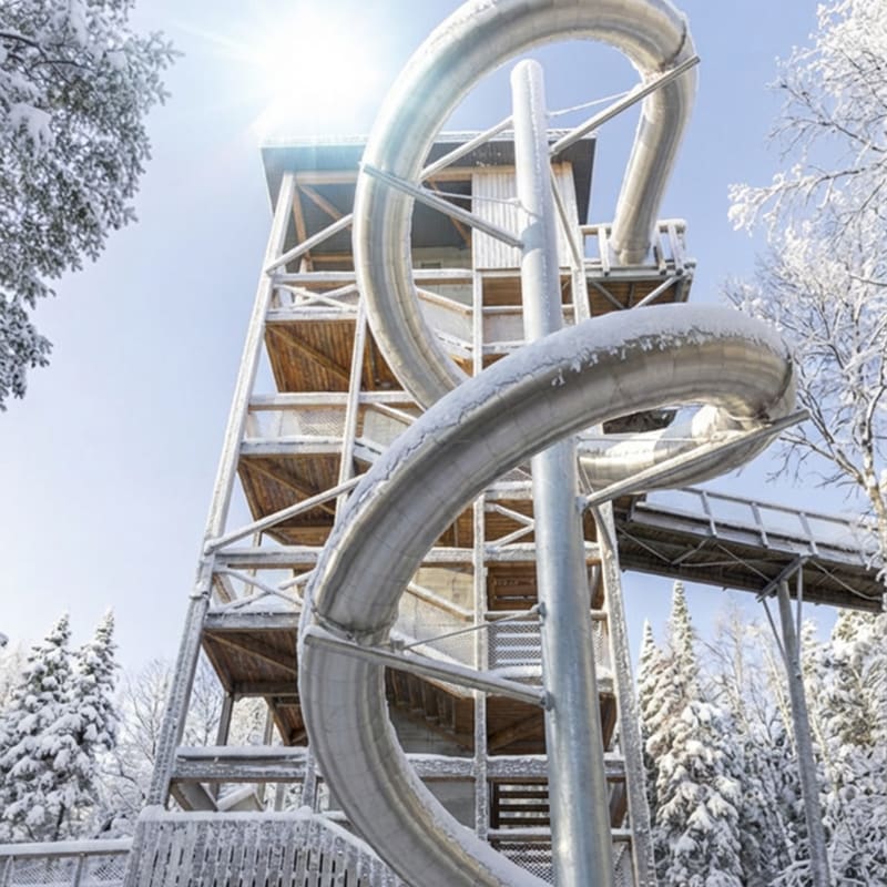 Tree-top slide. 