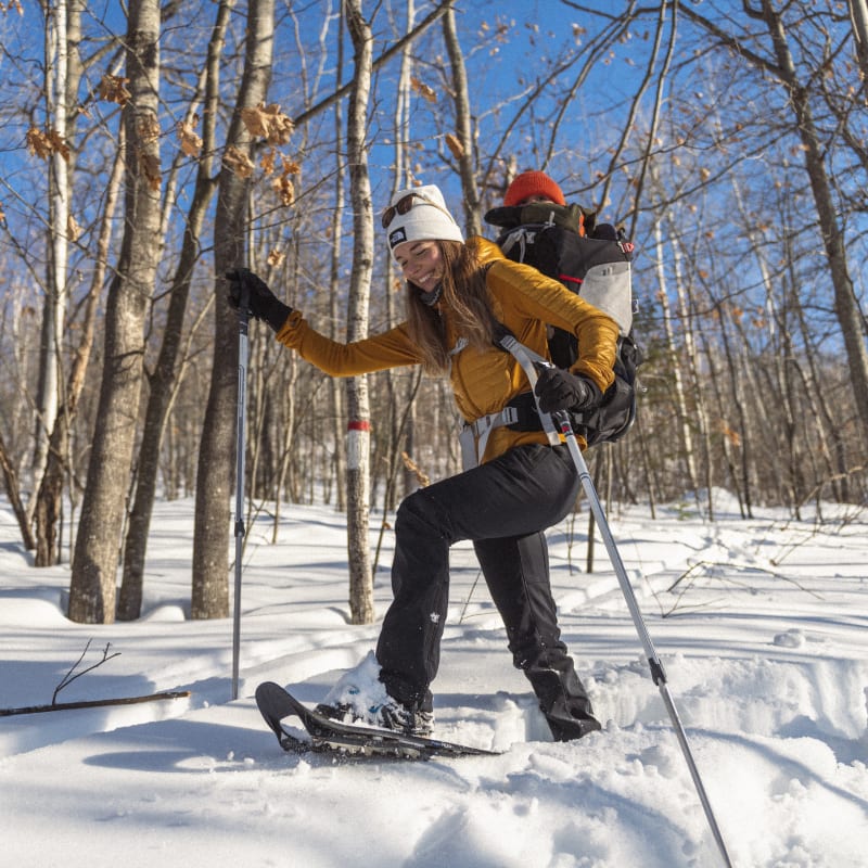 Femme en raquettes dans une forêt dénudée.