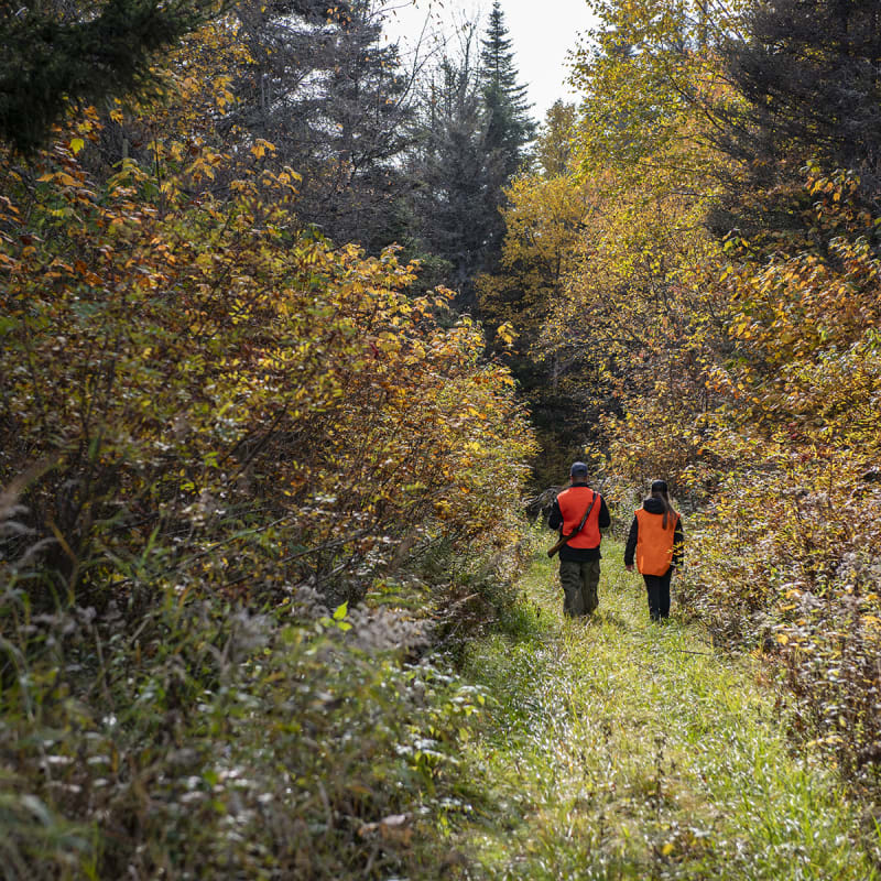 Two people with orange hunting jackets.