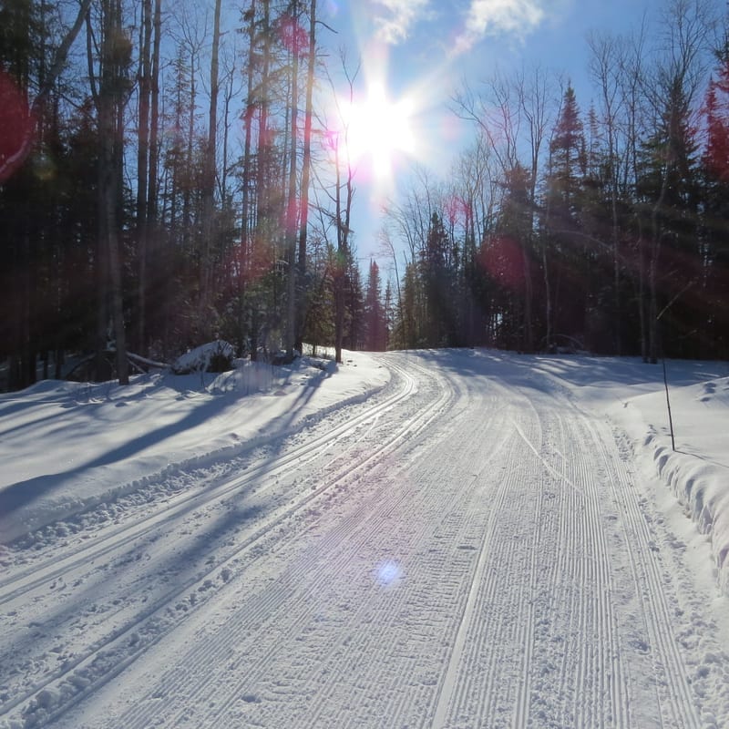 Wide cross-country ski trail under bright sunshine.