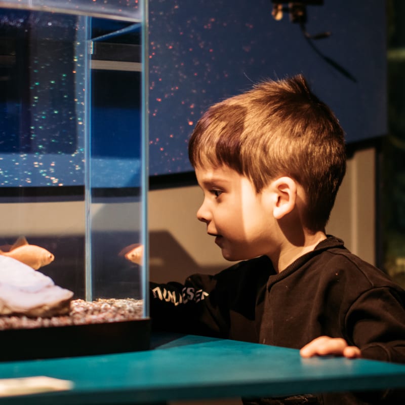 Boy at the Musée de la biodiversité.