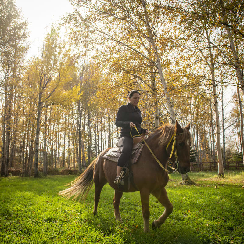 Randonnée à cheval en Côte-Nord.