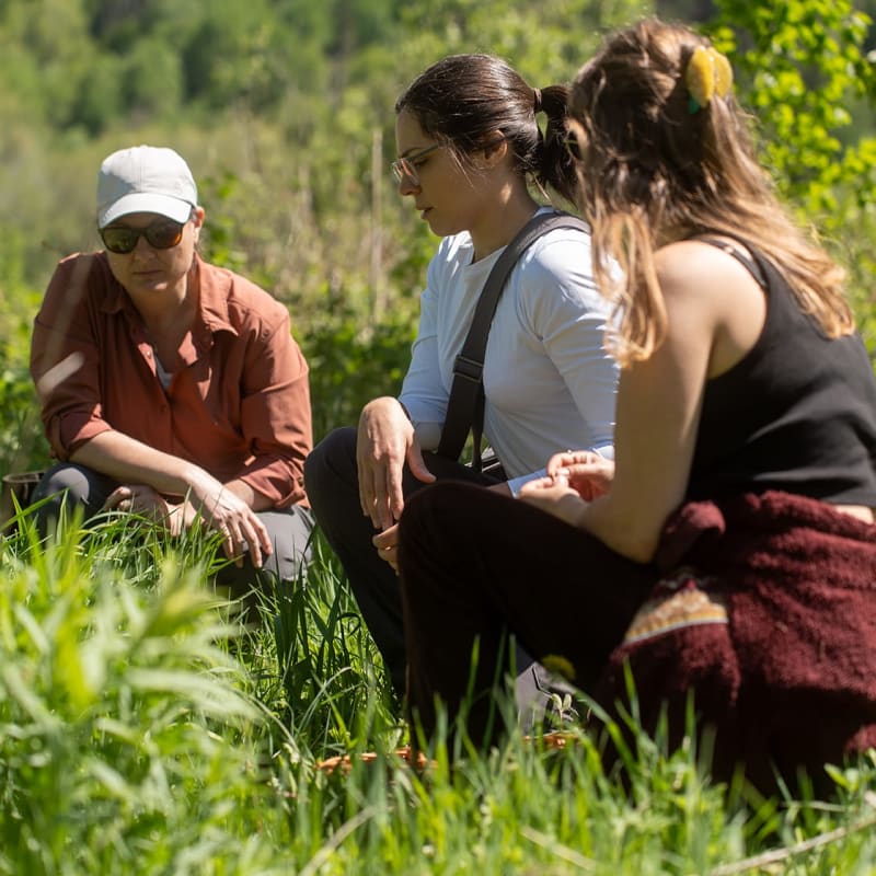 Cœur Sauvage - Trois personnes accroupies pour faire de la cueillette en nature.