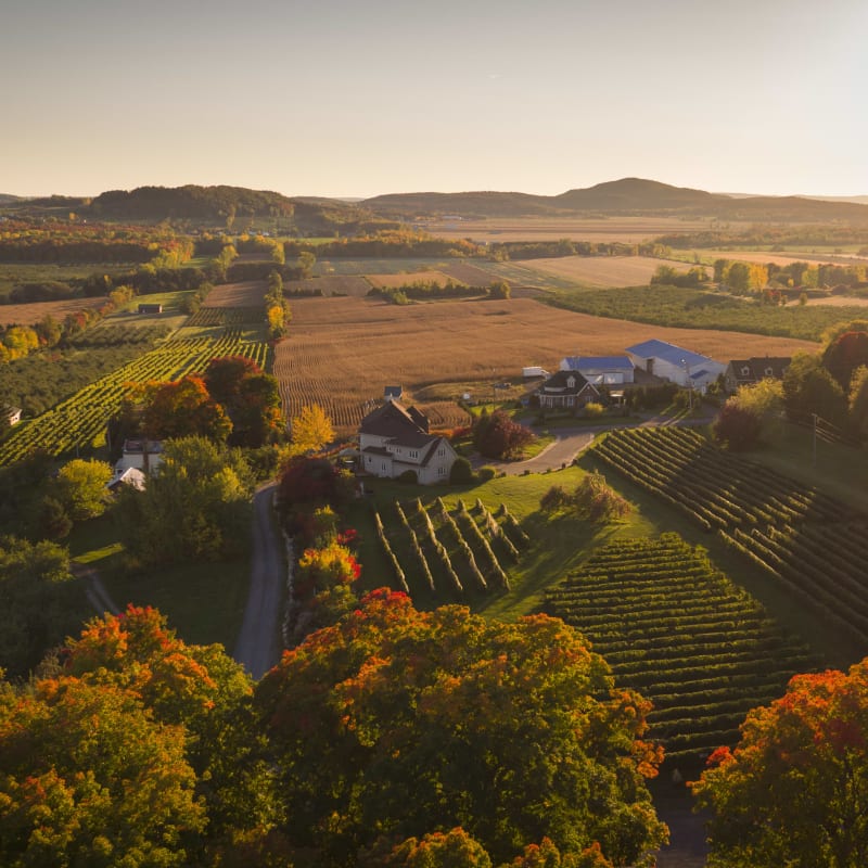 Vue aérienne de terres en campagne à l'automne.