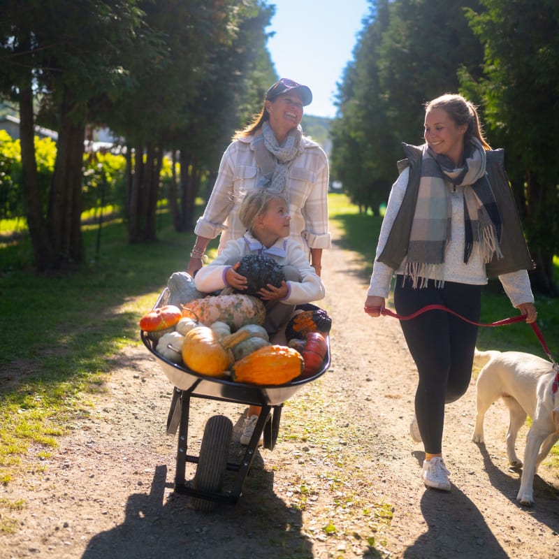 Deux femmes, un enfant et un chien avec une brouette de courges. 