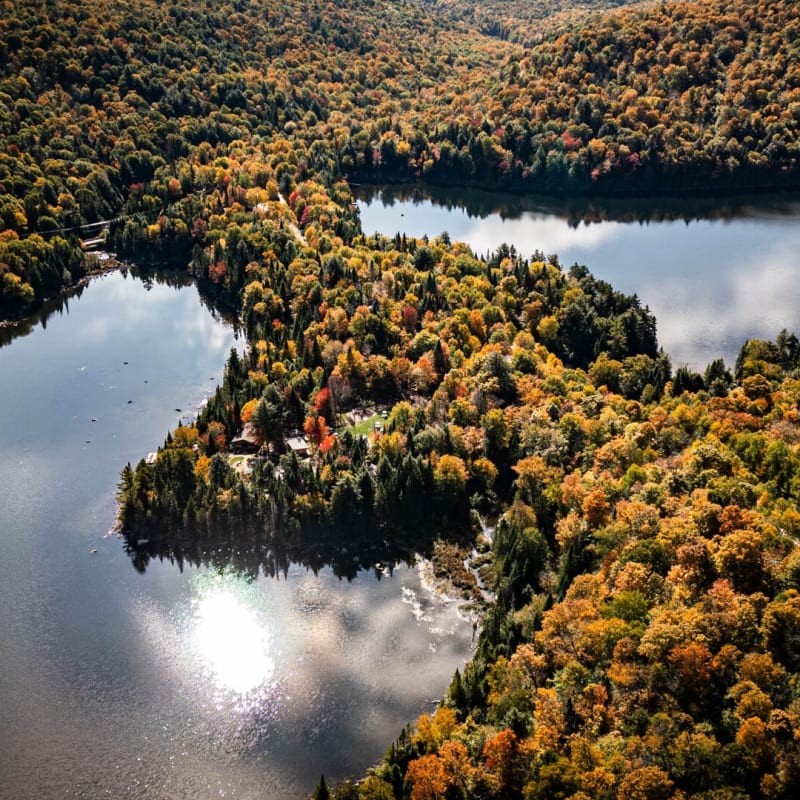 Vue aérienne sur la nature en automne.