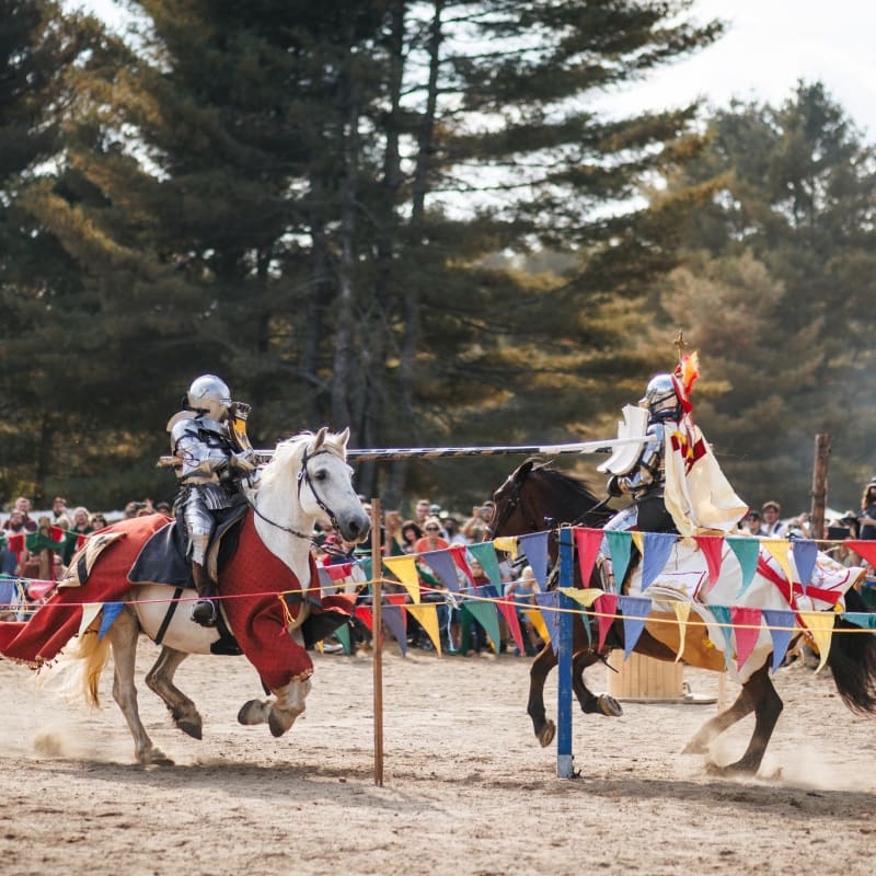 Two people jousting at the Medieval festival in Montpellier.