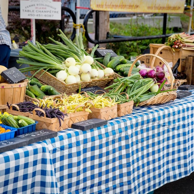 Table de kiosque avec légumes frais - Sainte-Anne-de-Bellevue.
