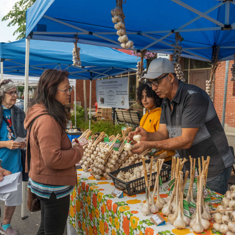 Gens à un kiosque de ventes d'ail - Sainte-Anne-de-Bellevue.