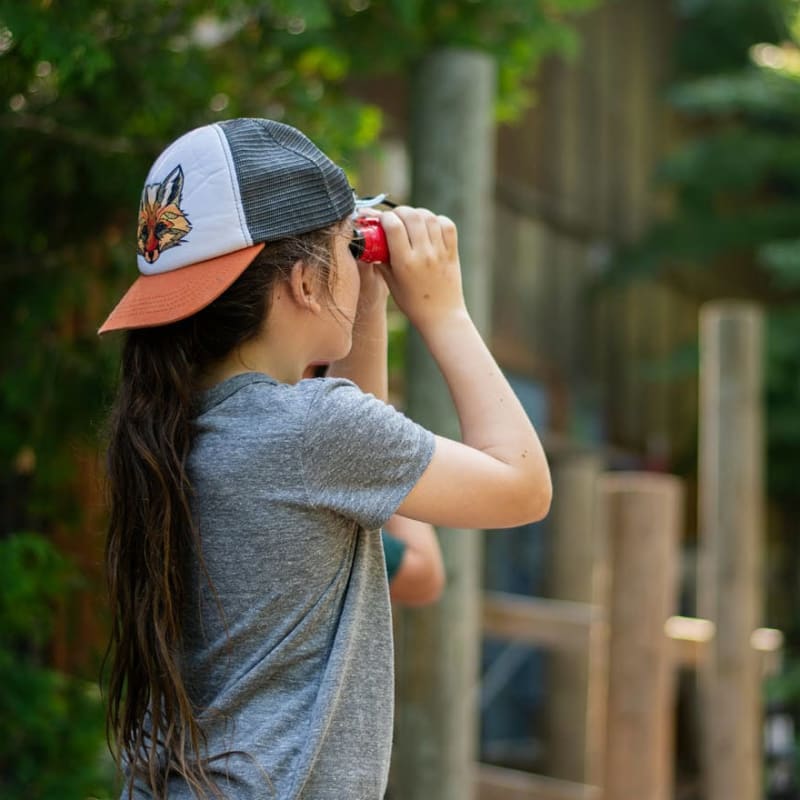 Club des Jeunes Naturalistes.