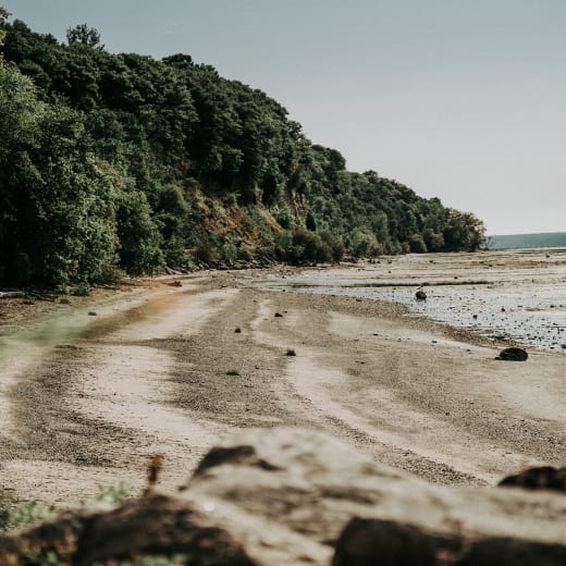 Promenade-Fleuve : balades sur la grève