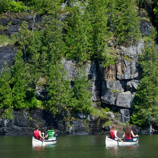8 parcs nationaux et régionaux à visiter gratuitement cet été