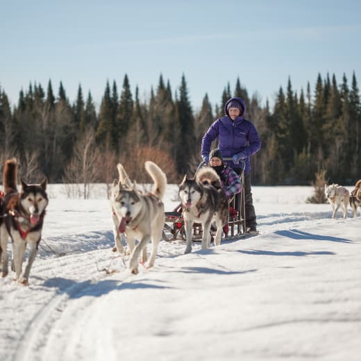 Le traineau à chien Au Chalet en Bois Rond