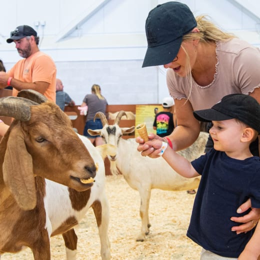 Du plaisir pour toute la famille