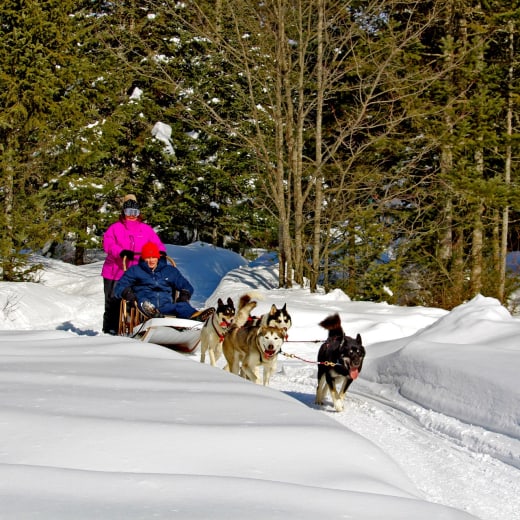 Au Chalet en Bois Rond.
