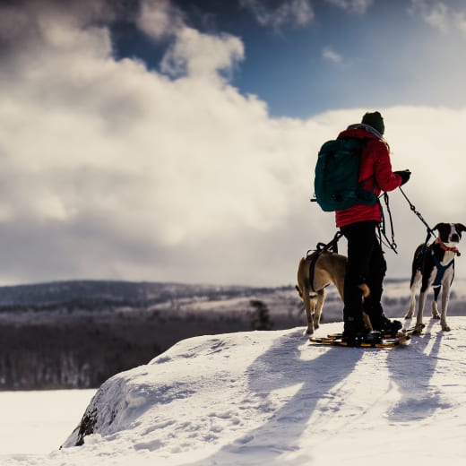 Take your dog out to Parc régional Montagne du Diable