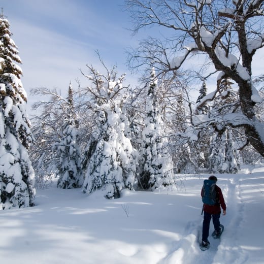 Winter scenery in Mont-Mégantic provincial park.