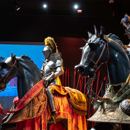 Pointe-à-Callière, Montréal Archaeology and History Complex 