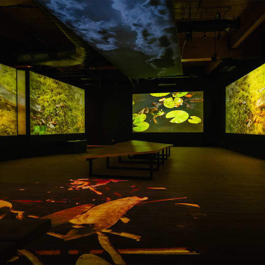 Marais de la Rivière-aux-Cerises