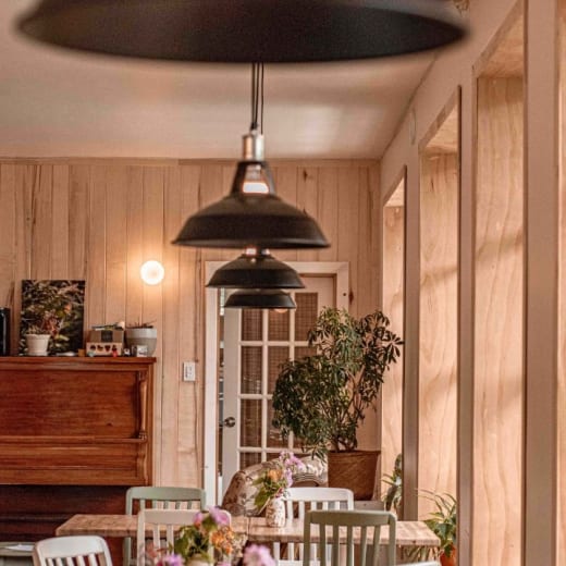 Projet La Ruche: un lot de délices à découvrir!