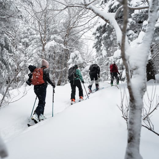Brome-Missisquoi: pour des aventures en montagne.