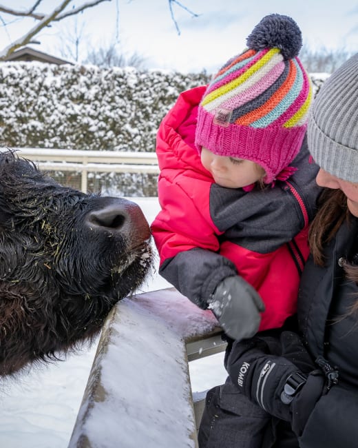 Le Zoo de Granby