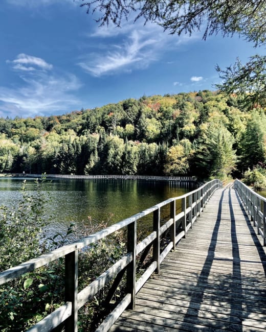 10 belles passerelles où observer les oiseaux et la nature au Québec.