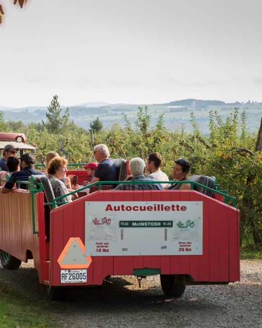 Fall is in full swing: here are 4 seasonal musts you won't want to miss out on! 