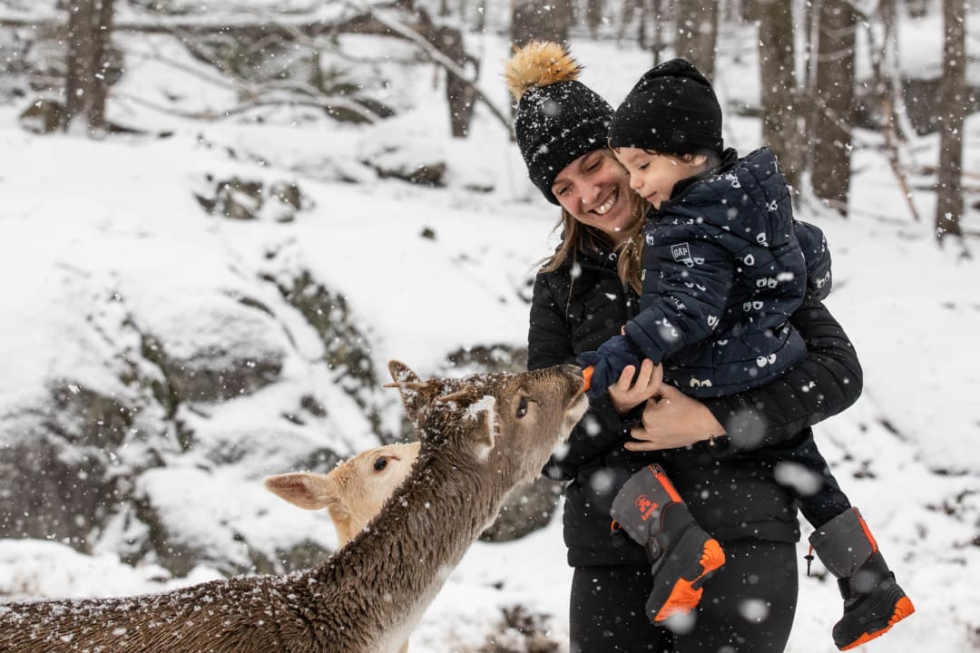 Ideas for a winter family vacation.