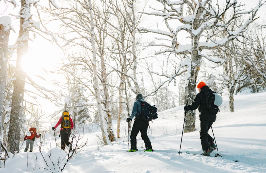 Édition spéciale NATURE ET PLEIN AIR CET HIVER