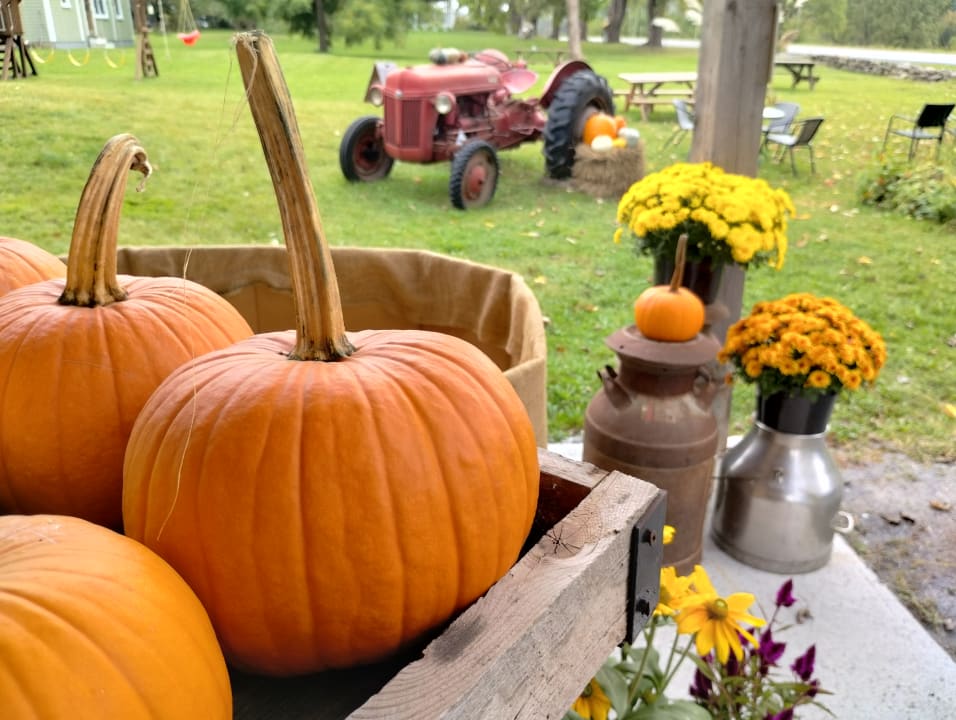 Things to do this weekend all across Quebec - October 3, 4 and 5